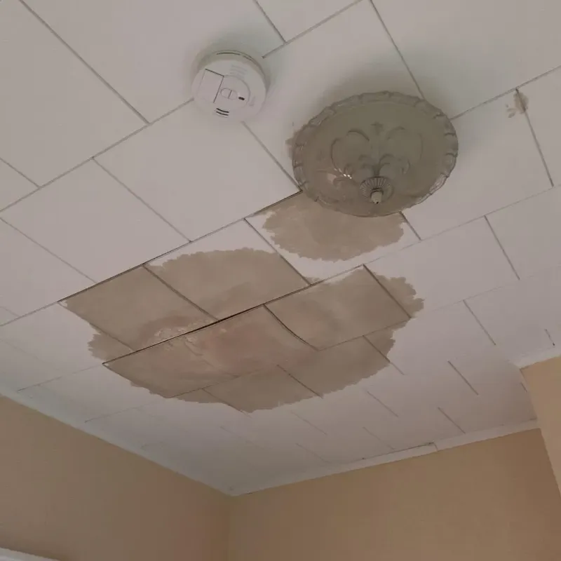 Ceiling Water Damage Repair in Laurel Lake, NJ